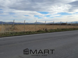 Teren Intravilan Industrial