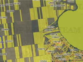 Teren oportunitate de investitie Lacul Tasaul Navodari