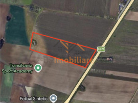 TEREN INTRAVILAN 24457 MP | 80 ML FRONT STRADAL | ORADEA | B