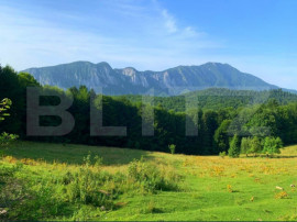 Teren intravilan - Trei Brazi, Predeal