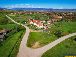 Film Tur 3D! Refugiu idilic la Arcus: confort modern imbrati