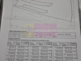 9,4 ha teren l&acirc;ngă DEx12 Pitești | 2,85 &euro;/mp | lotur...