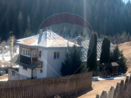 Case cu 7 camere de v&acirc;nzare &icirc;n comuna Panaci, sat Drăg...
