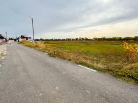 Teren Intravilan Albota Arges