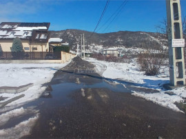 Teren intravilan 6345mp de viforata