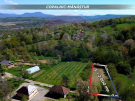 Teren de vanzare langa padure Copalnic Manastur