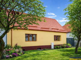 Cocheta casa renovata vila spatioasa, domeniu de 1.500mp,San