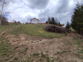 Teren intravilan in Izvoru Muresului (str. Principala)