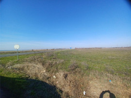 Teren Judetul Calarasi- Cuza Voda Stradal DN3