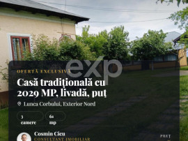 Casă tradițională cu 2029 MP, livadă, puț propriu