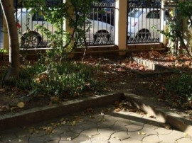 Vila Individuala Nordului - Herastrau