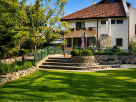 Vila 335 MP utili I Curte 1670 MP I Saftica - Balotesti I...