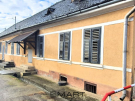 Cladire mixta 250 mp teren 740 in Smig
