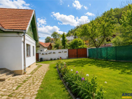 Pe domeniu de 1.750mp, rezidenta in Central, Sacele, Brasov