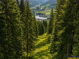 FILM!Teren 7.800mp,fosta partie de schi,investitie turistica