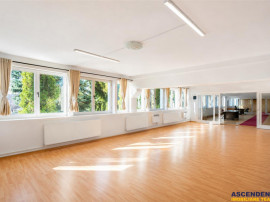 Spatii de birouri pentru afaceri care apreciaza profesionali