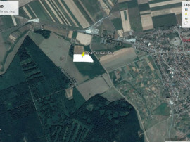 5 ha teren arabil in imediata apriopiere de Pecica