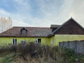 Scared to die shutter Pig Vila lux, Hunedoara, 145.000 eur - HomeZZ.ro