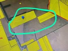 Teren intravilan 80975 mp in Crevedia