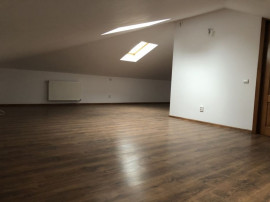 Spatiu Centru Comercial