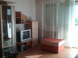 Apartament 2 camere zona Podgoria