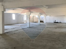 Spațiu industrial de închiriat,700 mp în Aluniș