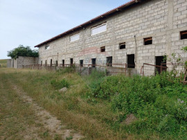 Teren parțial intravilan-300000mp Stroiești-Trei Movile...