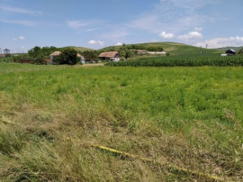 A/1601 De v&acirc;nzare teren &icirc;n Mureș - Mărășești