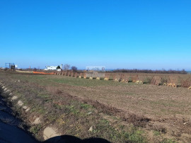 Teren 5000 mp, ieșire din Tecuci, după Peco Gălbenuș