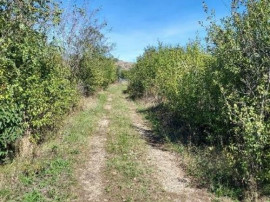 Teren intravilan Loc. Baicoi, Jud Prahova-id 17235