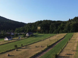 Teren 5886 mp In Bucovina - Bucsoaia! De ! 0727817187