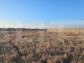 Teren intravilan 1677 mp &icirc;n Băcia