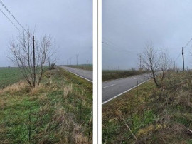 Teren Budesti, ID: R2362337