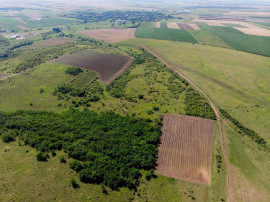 Teren arabil de 147 hectare &icirc;n Giurgiu