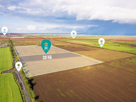 Teren de 200000 mp &icirc;n Arad