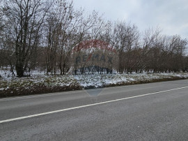 Teren 10,000mp Rădășeni / Șoseaua DN2-E85, județul S...