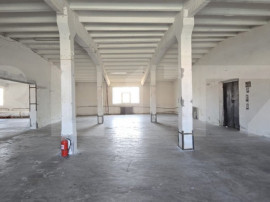 Hală producție/depozitare, de vanzare, 2600 mp, zona Bari