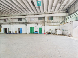 Complex industrial cu hale și teren &icirc;n Orțișoara