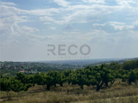 RECO Teren intravilan 850 mp -panorama oras- Saldabagiu de M