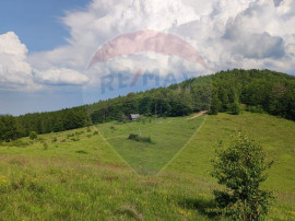 Teren 130000 mp extravilan, faneata si padure, Munteni - ...