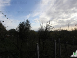 Teren de in Herceg-Novi Muntenegru