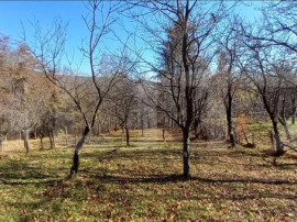Oportunitate de investiție agricolă &ndash; Teren extravilan d