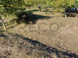 Reco Teren intravilan zona exclusivista 866 mp Gheorge Doja