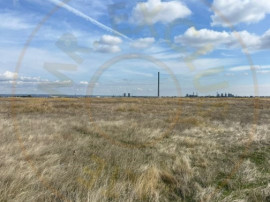 Teren 10.000 mp zona industriala Albota 10 euro mp -Arges