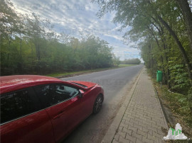 Teren 7500mp in liziera padurii in Dragomiresti-Deal