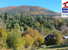 3600 mp teren intravilan, sat Bistrita, 12 Euro/mp