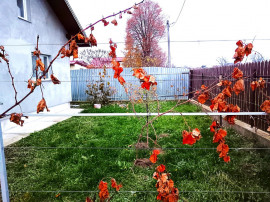 Casa in Mitocul Dragomirnei