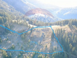 Teren 31,461mp Panaci / Prelungirea Ialovita