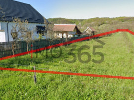 Teren intravilan Babana Primarie 2893mp stradal