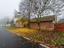 De v&acirc;nzare Casă cu Grădină Generoasă in Dorobanți